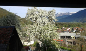 Gschmeidler, Selzthal, Österreich